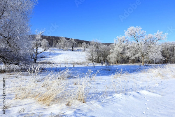 Fototapeta winter landscape
