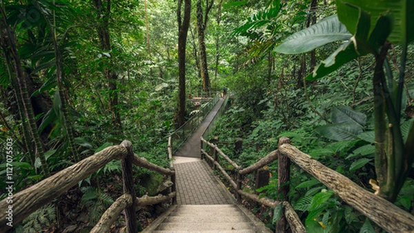 Fototapeta The walking path to La Fortuna waterfall in a biological reserve part of the Arenal Volcano National Park - Costa Rica