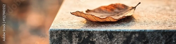 Obraz dried leaf rests still