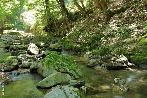 Fototapeta 世界遺産　奈良吉野
