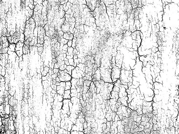 Fototapeta Cracks texture overlay. Vector background