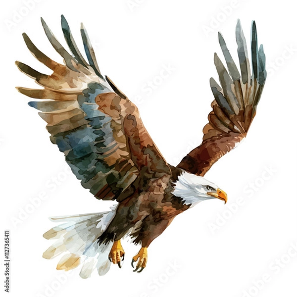Fototapeta A watercolor painting of an eagle, isolated on a white background. Eagle vector.