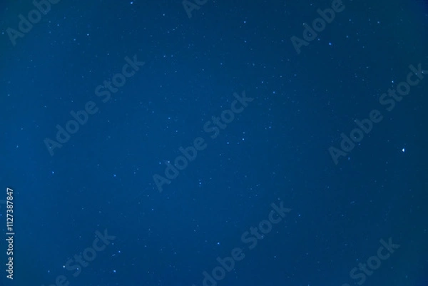 Obraz blue christmas background