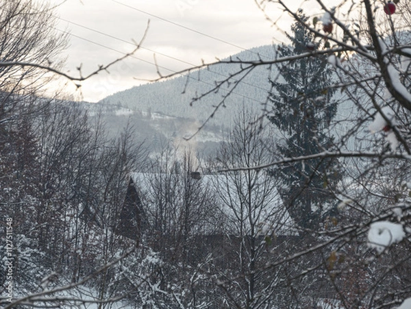 Fototapeta Smoke from the house's chimney. Winter in a village in the Transcarpathia region. Scenic snowy Carpathian mountains view