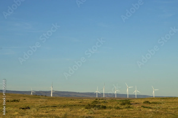 Obraz windmills 