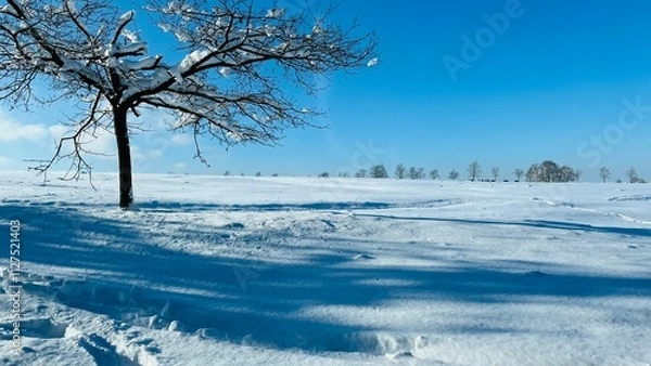 Fototapeta Winterwanderung