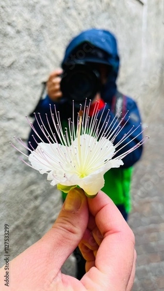 Obraz Ein Junge fotografiert eine Blume
