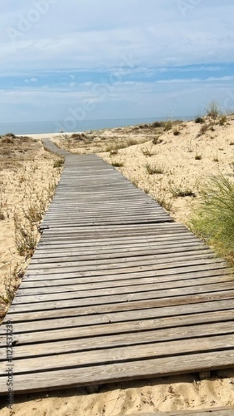 Obraz Der Weg zum Strand