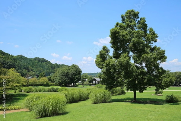 Obraz 奈良の明日香村