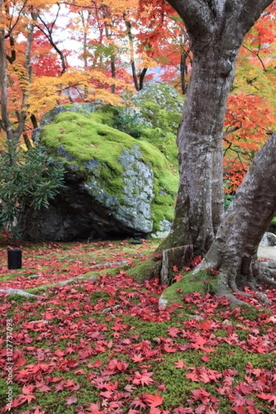 Obraz 宝厳院の獅子吼の庭