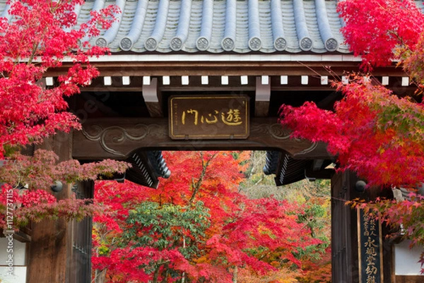 Obraz 永観堂幼稚園の門