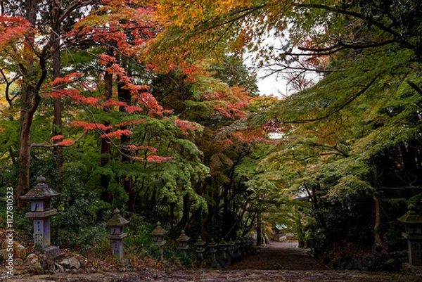 Fototapeta 故宮神社参道の紅葉
