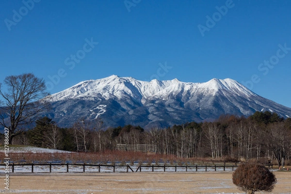 Obraz Snowy mountains of Japan