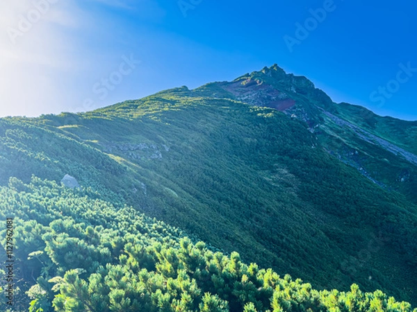 Fototapeta 北海道の利尻島利尻山（利尻富士）の夏の風景
