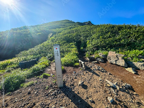 Fototapeta 利尻島利尻山（利尻富士）九合目の眺め