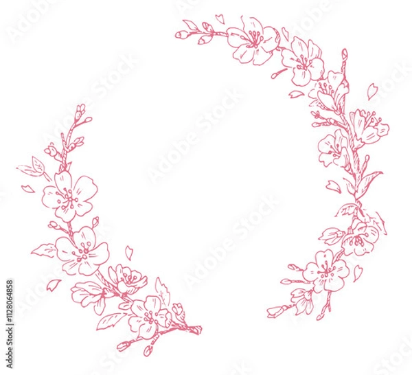 Fototapeta 桜の花のフレーム　春のベクター素材　ピンク色の線画　植物の装飾