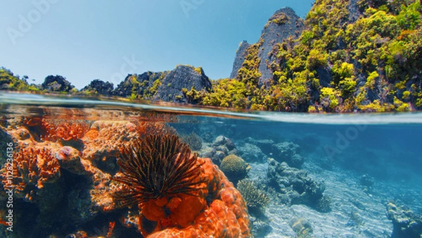 Fototapeta Sunlight illuminates a shallow coral reef with a tropical island in the background. Raja Ampat, Indonesia
