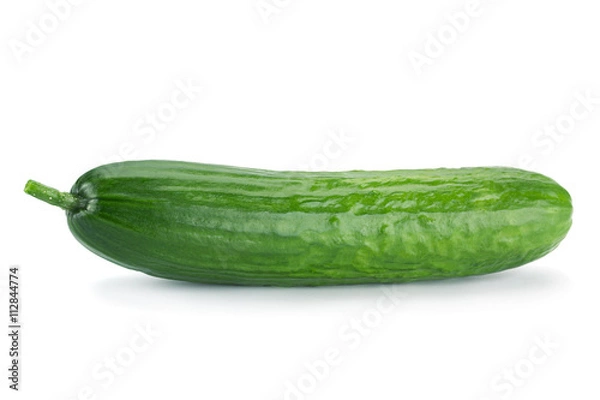 Obraz Długi ogórek na białym tle