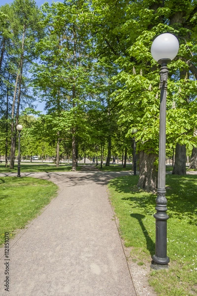 Fototapeta Alee In The Spring Park