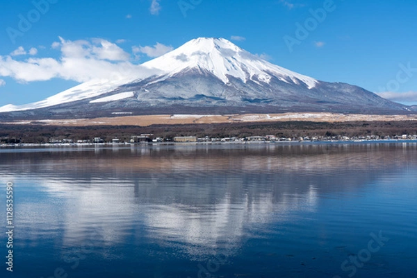 Fototapeta 山中湖、長池親水公園から見る冬の富士山