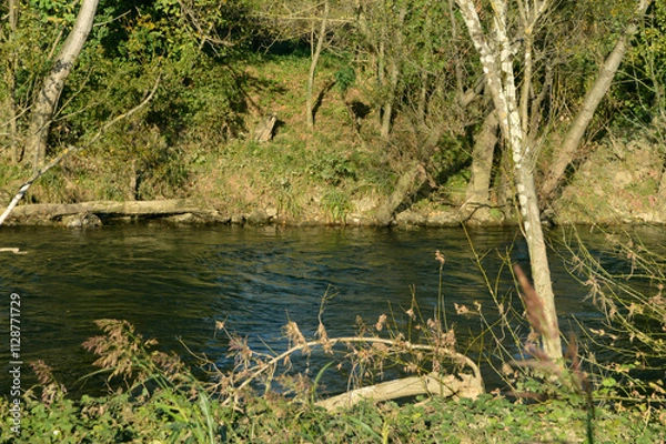 Fototapeta Riverbank 