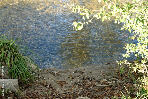Fototapeta River beach 