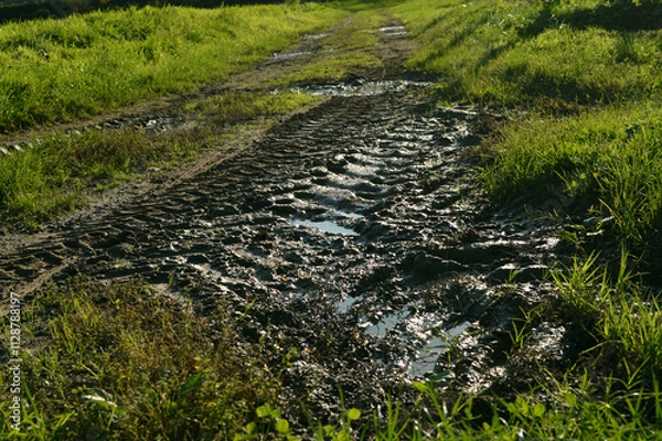 Obraz path in the field