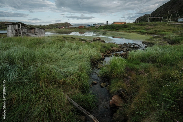 Fototapeta A stream among green grass on the seashore in Teriberka