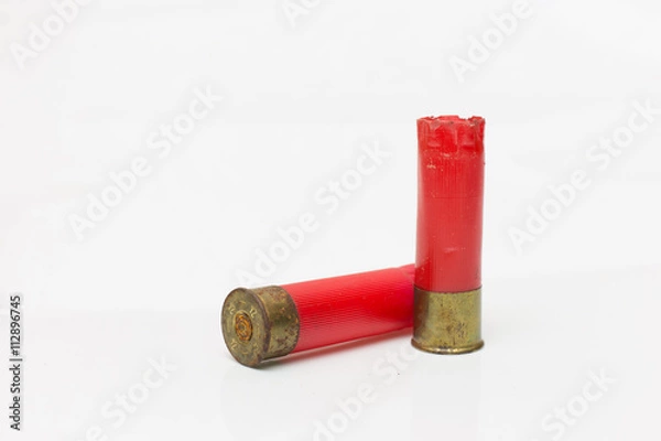 Obraz shotgun shell
