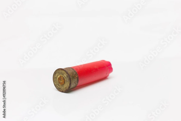 Obraz shotgun shell