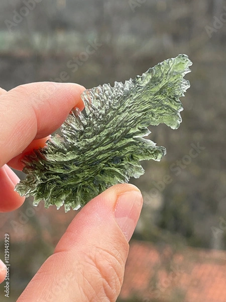 Fototapeta Rare Moldavite feather shape
