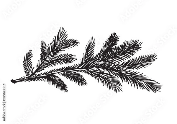 Fototapeta  A black fir branch on a white background hand drawn