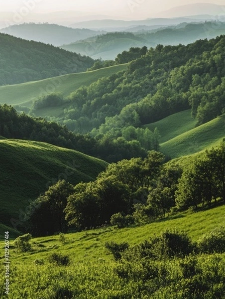 Fototapeta Cattle on green hillside