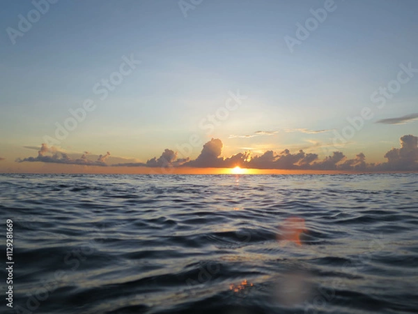 Obraz underwater life