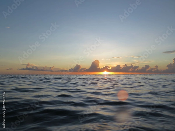 Obraz underwater life