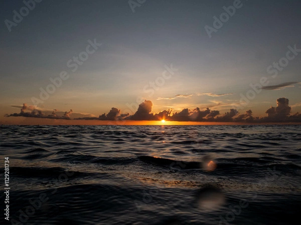 Obraz underwater life