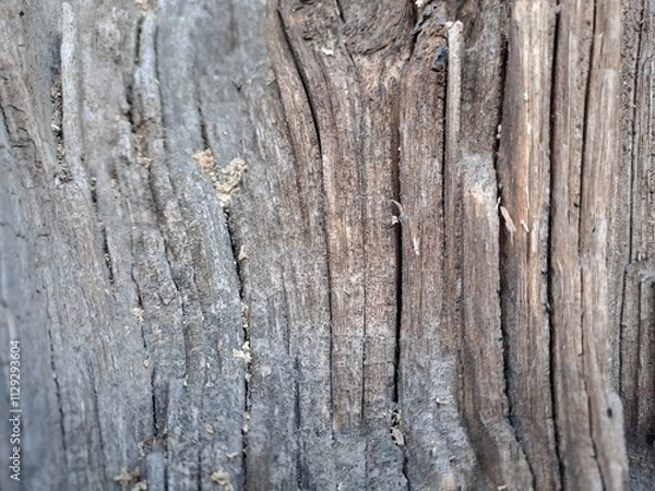 Fototapeta old wood background