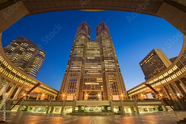 Obraz 東京都庁舎・夜景