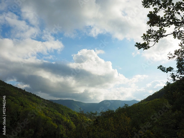 Obraz Mountain landscape with green forest and blue sky with white clouds.