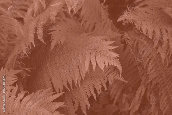Fototapeta Mocha Mousse beautiful view of fern plant in monochrome color. Forest Mocha Mousse colored fern plants. Trendy color 2025