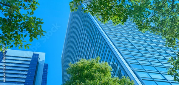 Obraz オフィスビル　緑の木