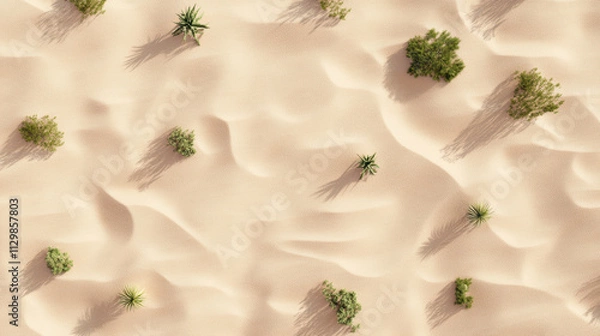 Fototapeta Aerial view of desert sand with scattered cacti