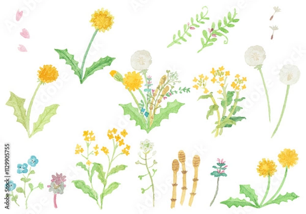 Obraz 水彩絵の具で描いた春の野原のお花セット