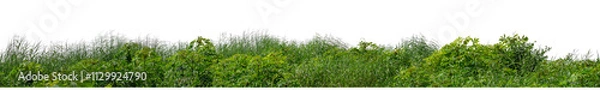 Fototapeta Hill with green isolated on transparent background with clipped path and high resolution alpha channel.
