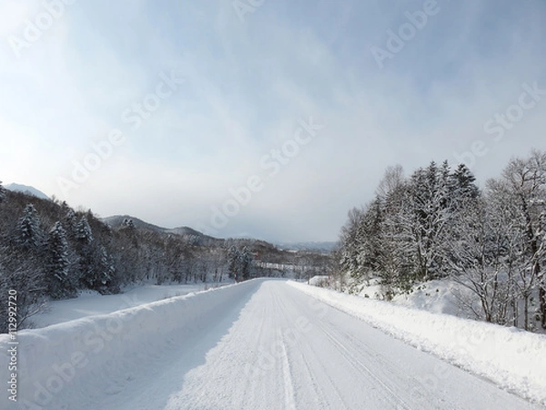 Obraz 北海道　冬道