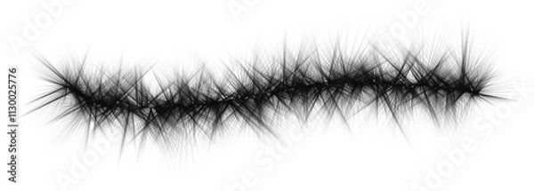Obraz feather on white background