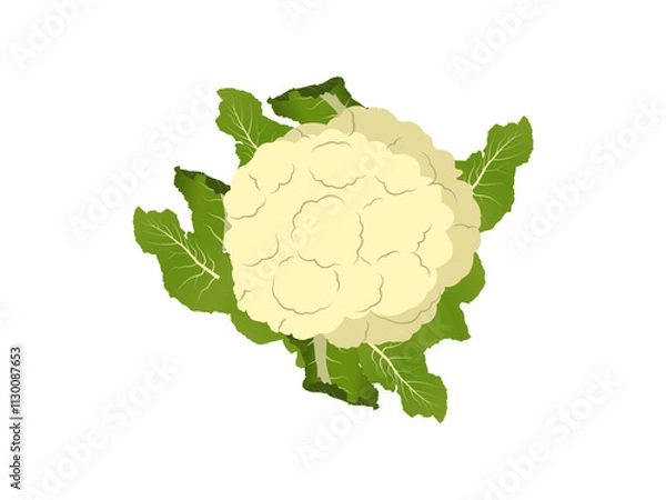 Fototapeta Elegant Cauliflower Design Perfect for Food and Organic Themes