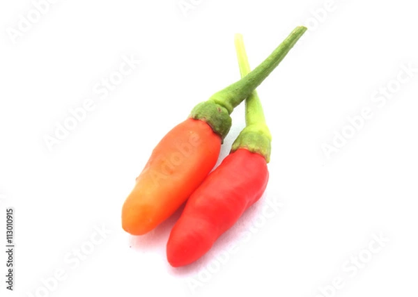 Obraz Red Chilli Dry isolated on white background