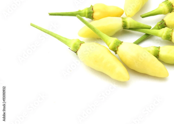 Obraz Red Chilli Dry isolated on white background