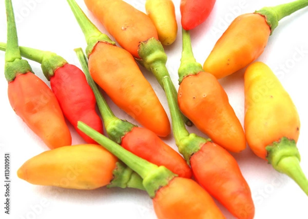 Obraz Red Chilli Dry isolated on white background